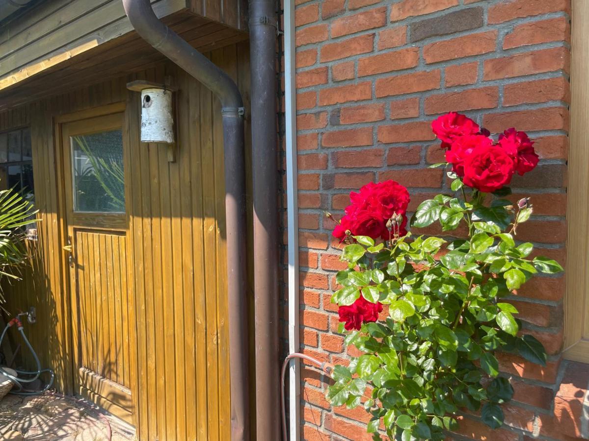 Urlaub Zwischen Den Meeren Apartman Schafflund Kültér fotó
